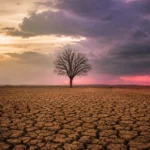 Drought-hit cracked farmland during India weak monsoon 2026