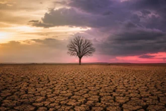 Drought-hit cracked farmland during India weak monsoon 2026