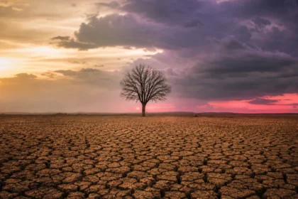 Drought-hit cracked farmland during India weak monsoon 2026